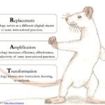 Replacement, Amplification, and Transformation (RAT) Model